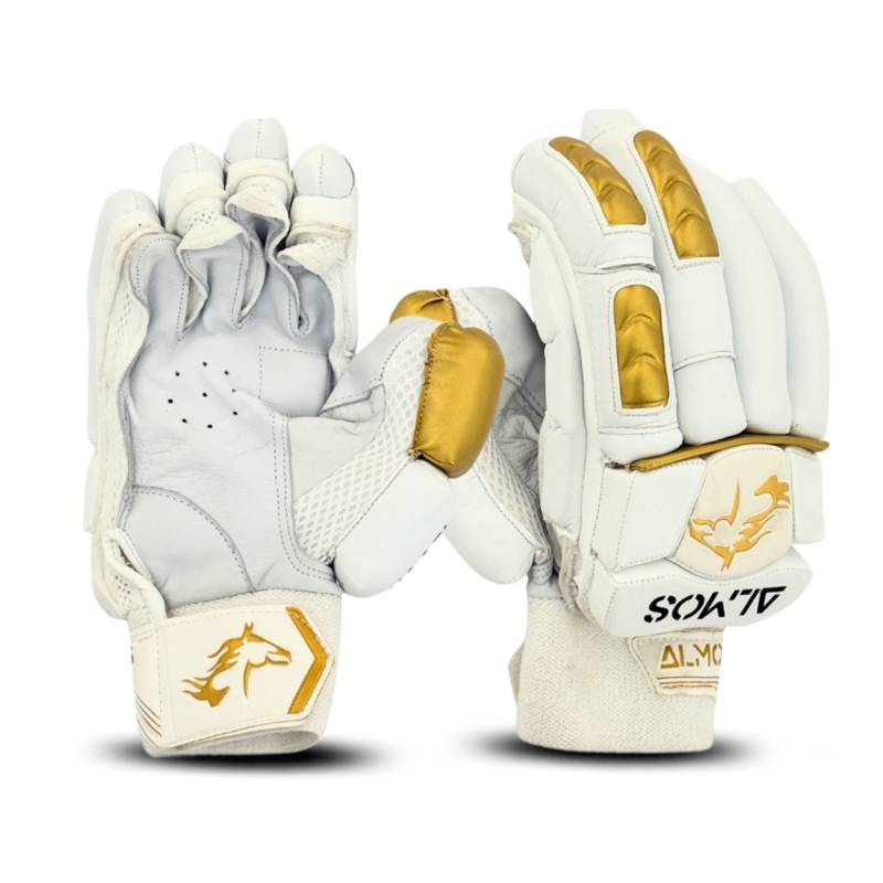 Academy Edition Cricket Batting Gloves